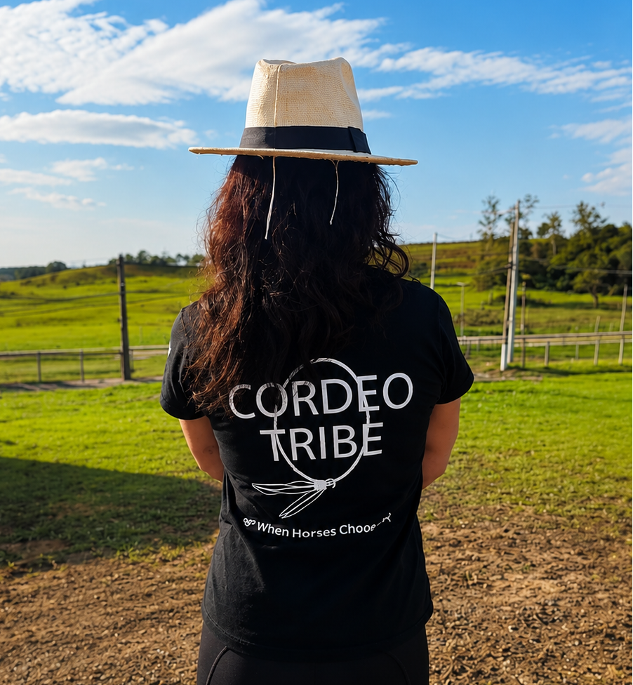 Camiseta de manga curta