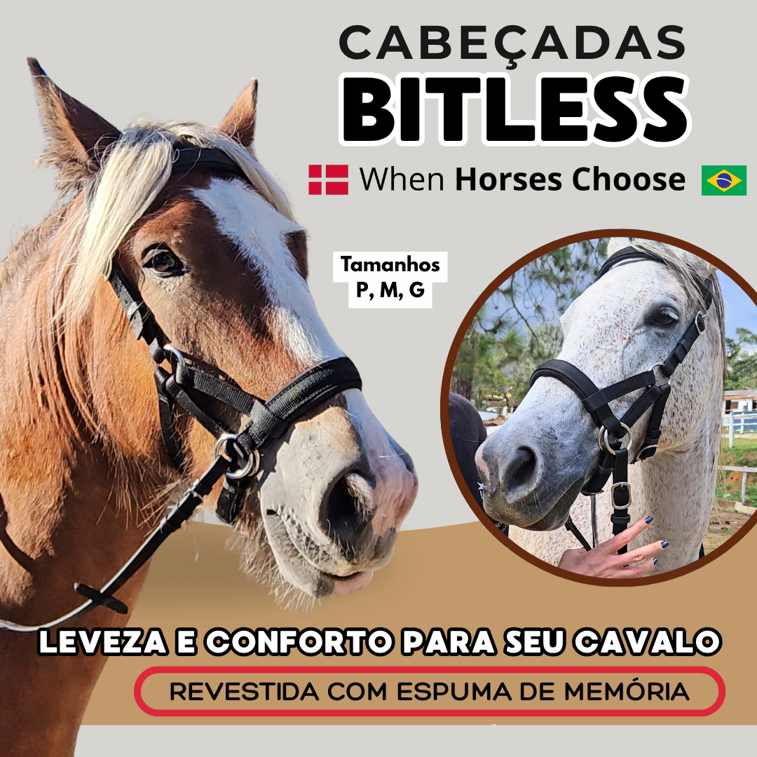 Cabeçada Bitless modelo Side-pull WHC