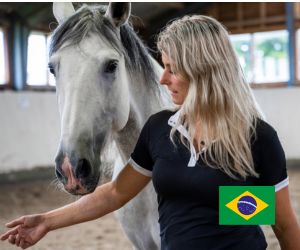 Curso Online: Introdução ao When Horses Choose